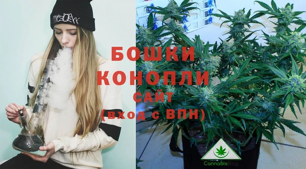 дживик Аркадак