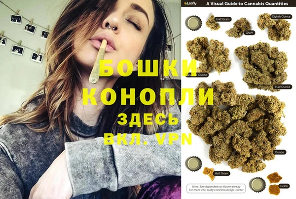 ГАЛЛЮЦИНОГЕННЫЕ ГРИБЫ Алексеевка