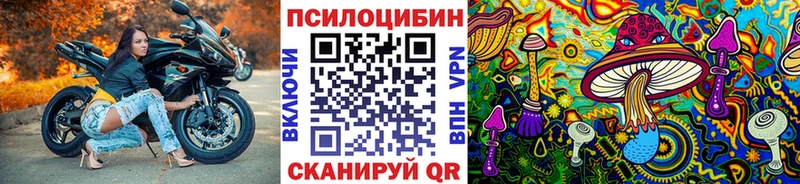 Псилоцибиновые грибы Psilocybe Ржев